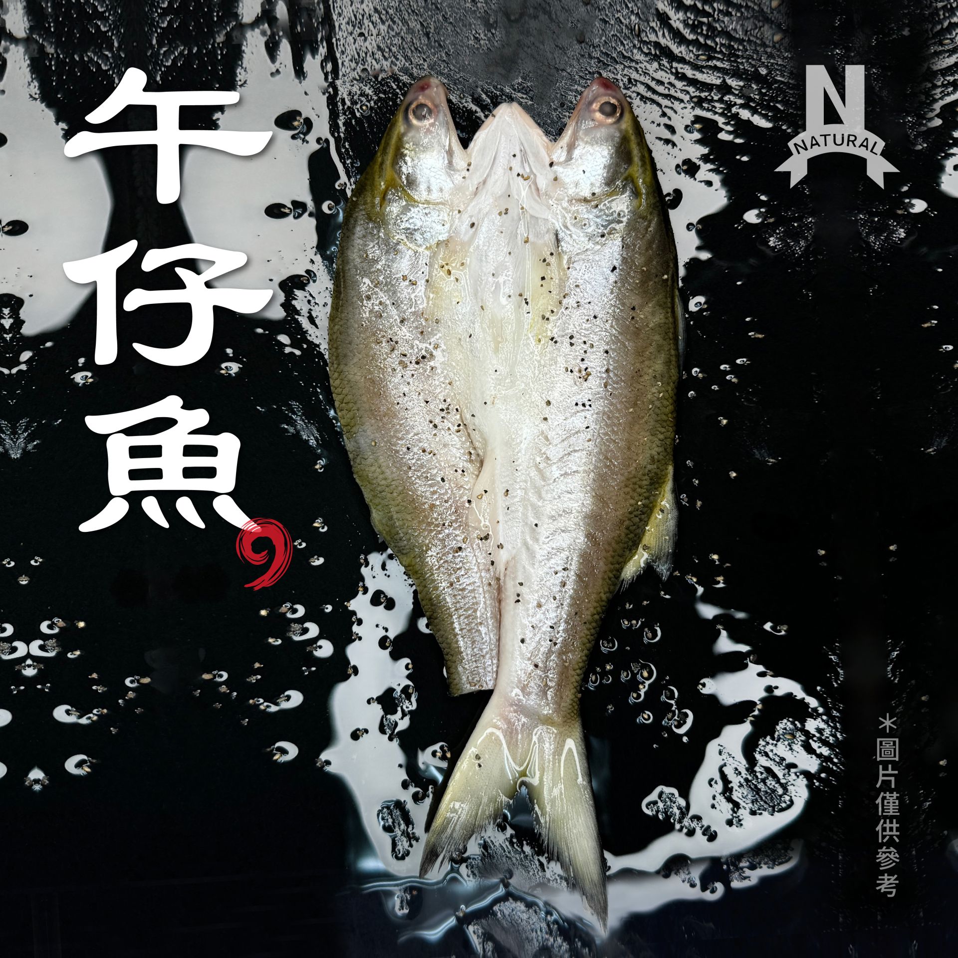 午仔魚-01