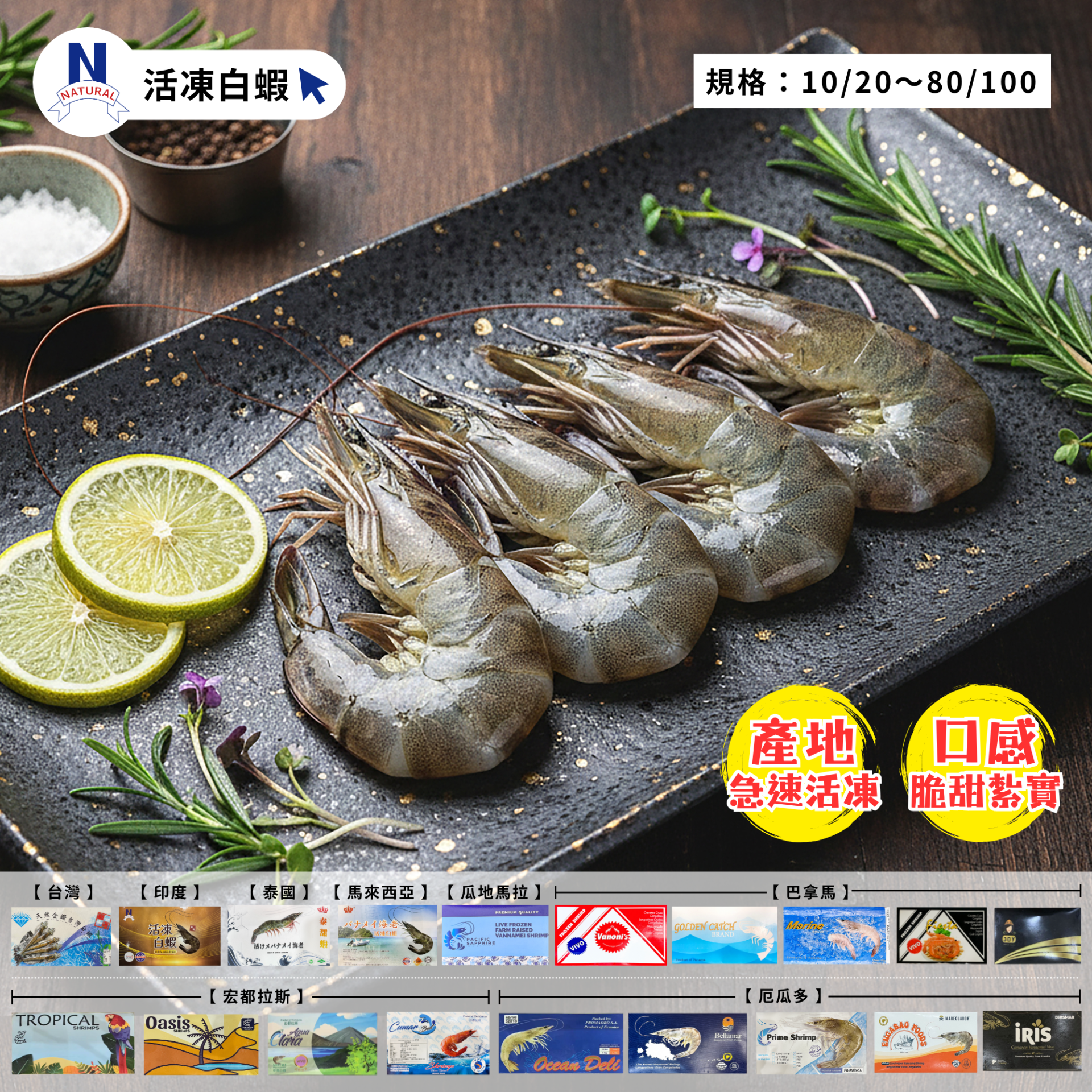 白蝦-各廠牌包裝總覽