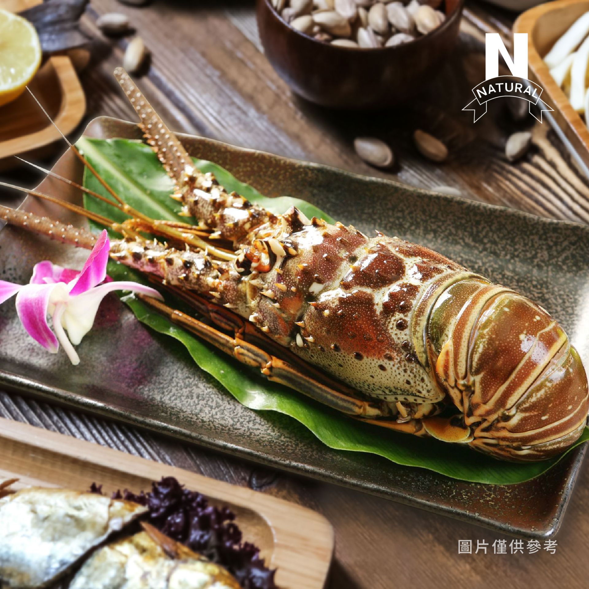龍蝦(生凍)