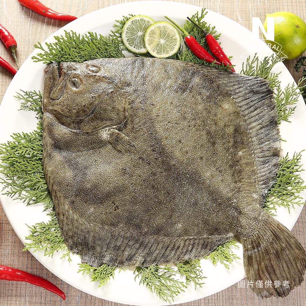 多寶魚