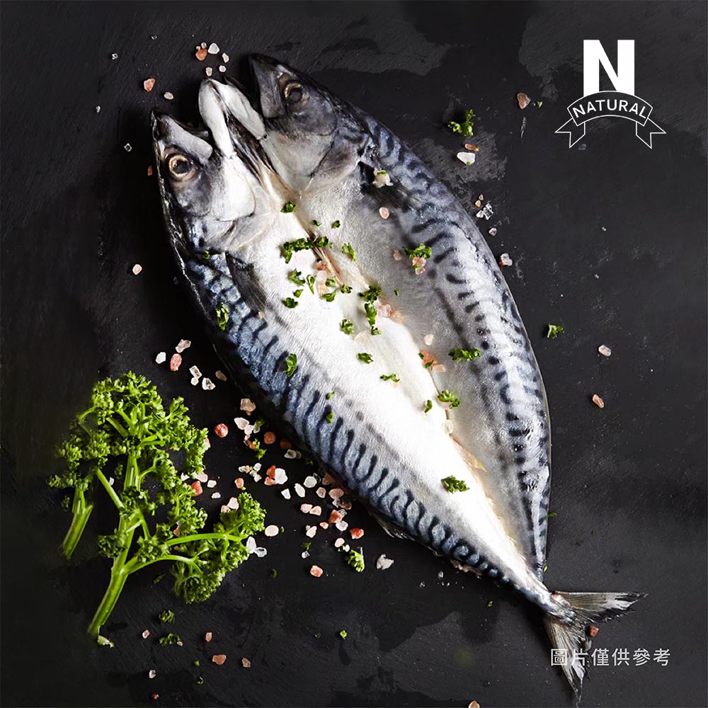 鯖魚一夜干