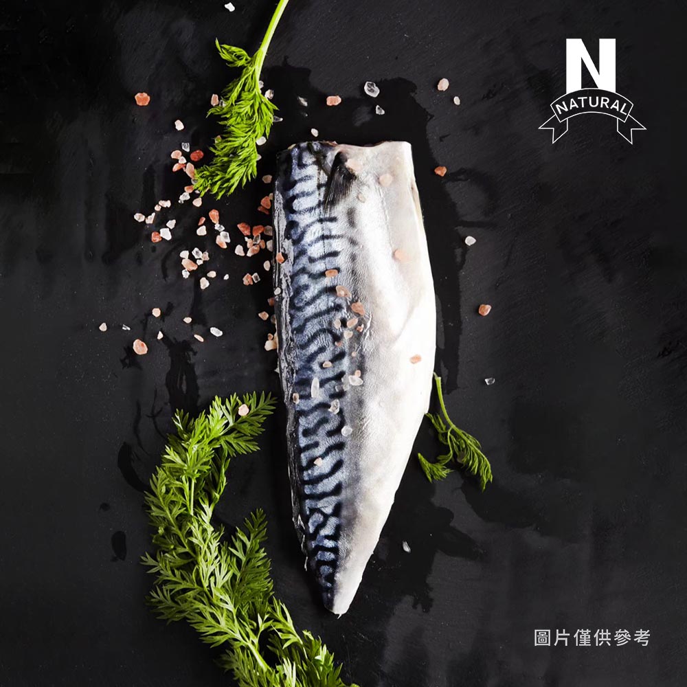 鯖魚片