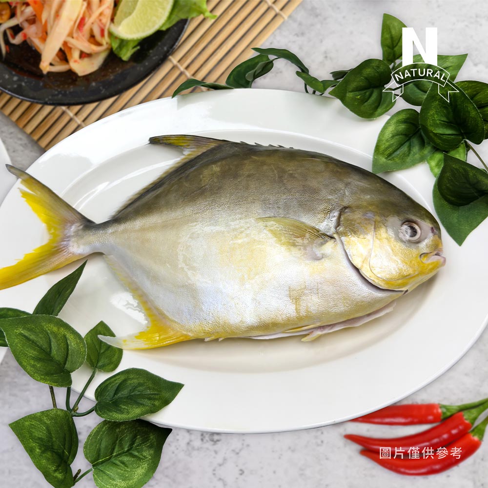 金鯧