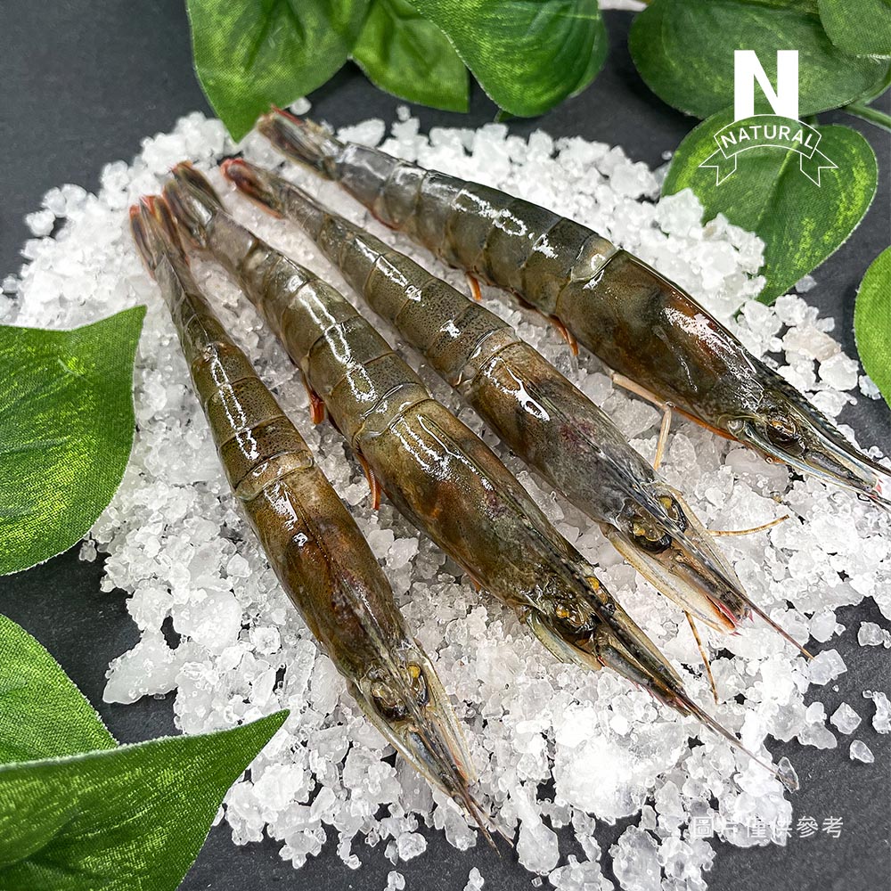 明蝦