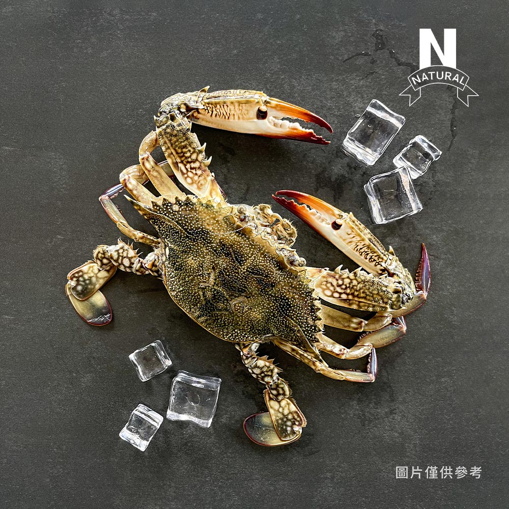 藍蟹