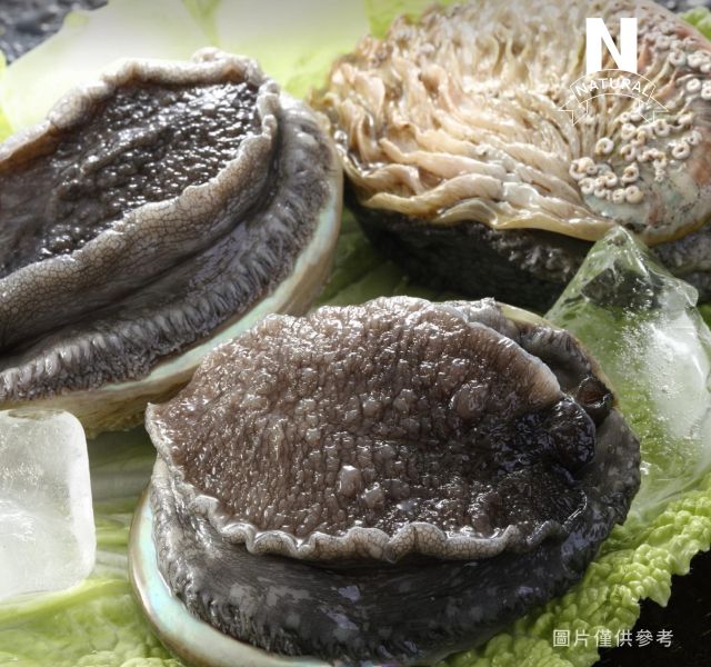 南非鮑魚 SOUTH AFRICA ABALONE