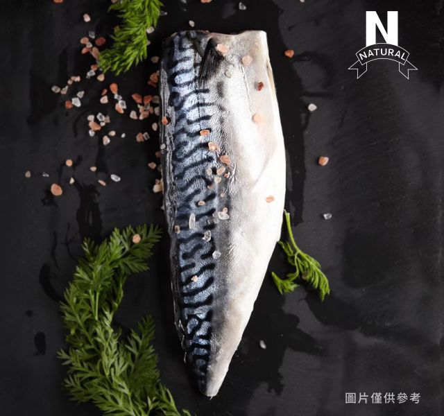鯖魚 MACKEREL