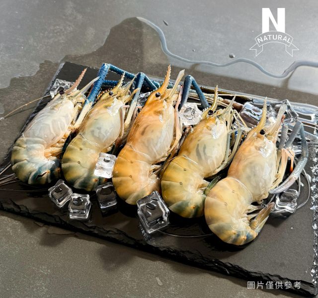 泰國蝦 GIANT RIVER SHRIMP