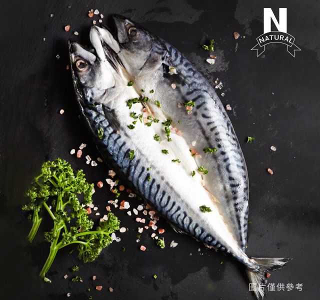 鯖魚一夜干 MACKEREL THREADFIN