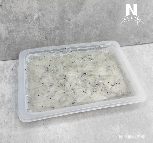 吻仔魚 WHITEBAIT