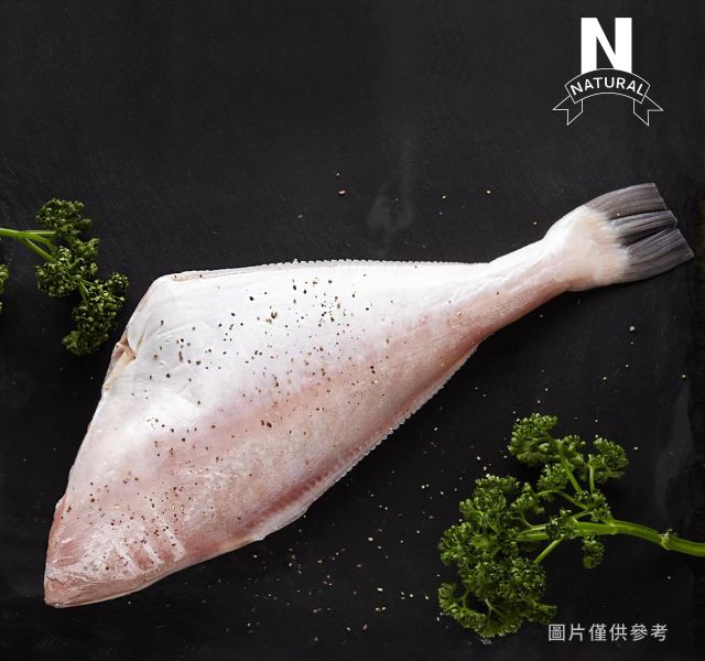 剝皮魚 FILE FISH