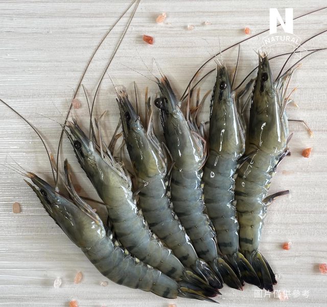 草蝦 TIGER SHRIMP