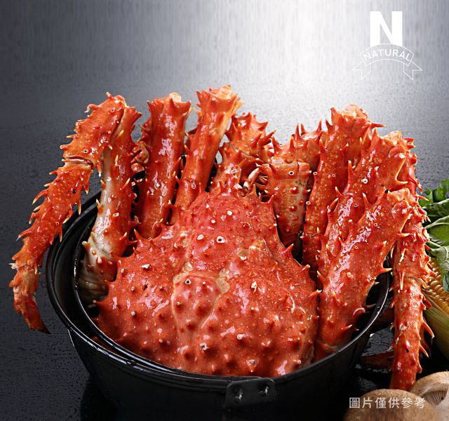 帝王蟹 KING CRAB