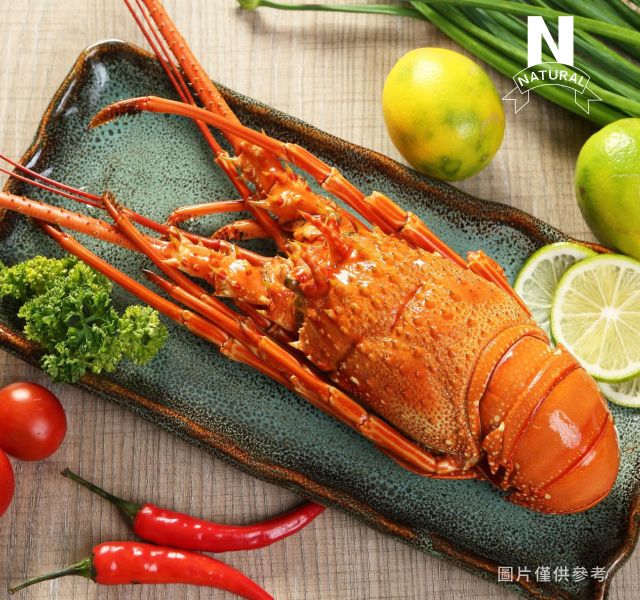 熟龍蝦 COOKED LOBSTER