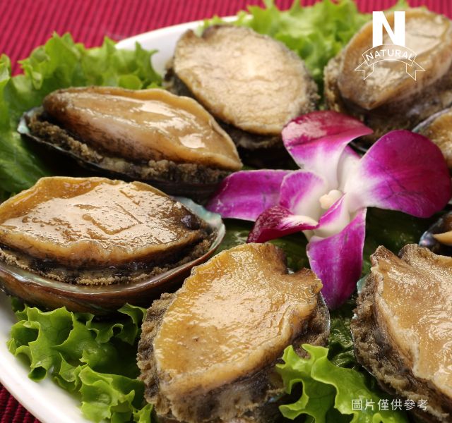 盤鮑 / 盤鮑清肉 ABALONE