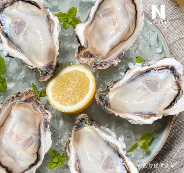 日本生蠔 WHOLE SHELL OYSTER