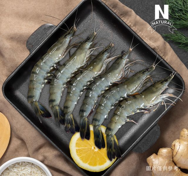 活凍草蝦 TIGER SHRIMP