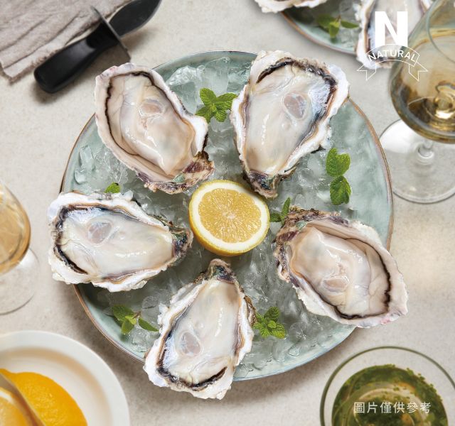 日本生蠔 WHOLE SHELL OYSTER