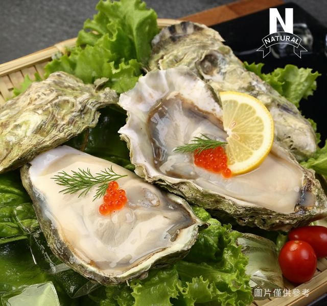 美國生蠔 WHOLE SHELL OYSTER