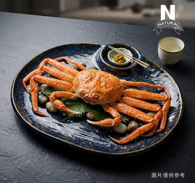 *松葉蟹 QUEEN CRAB
