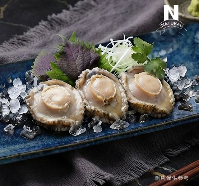 盤鮑清肉 ABALONE MEAT