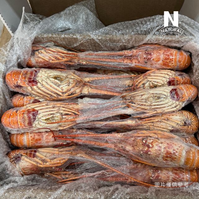 熟凍龍蝦COOKED LOBSTER-園芯貿易有限公司