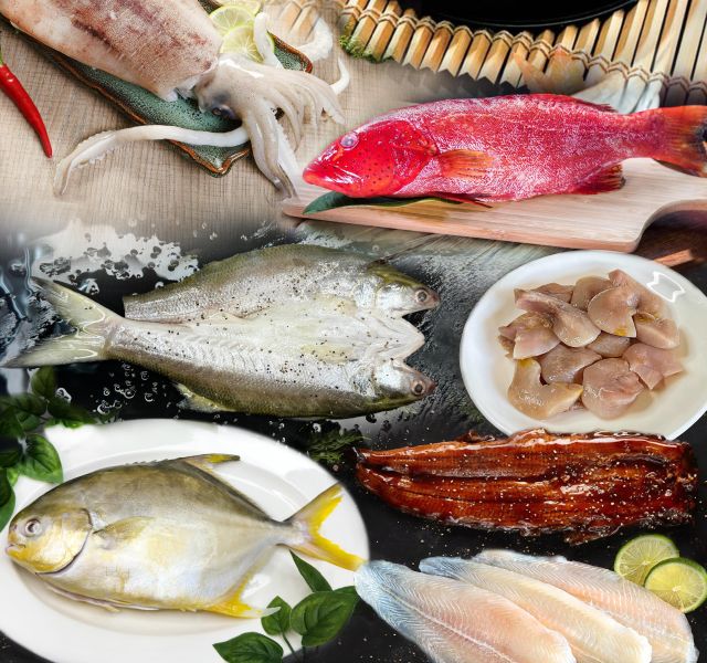 魚／軟體類