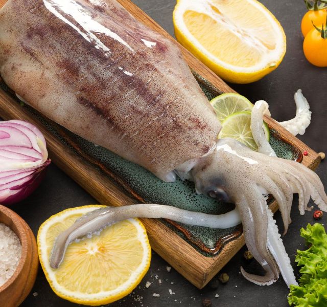 軟體類｜SQUID