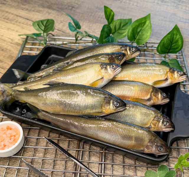 魚類｜FISH
