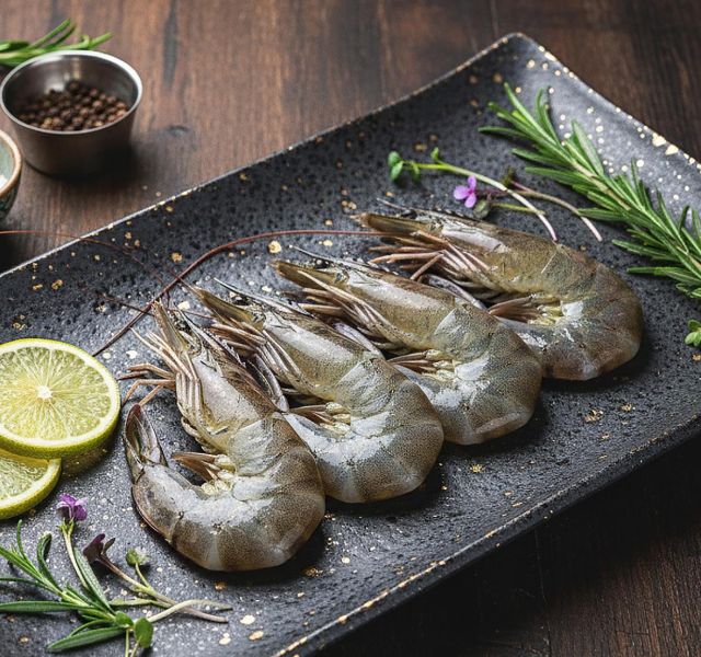 蝦類｜SHRIMP
