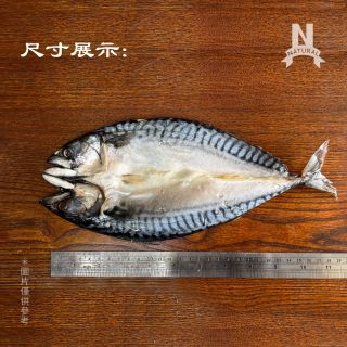 鯖魚一夜干-03