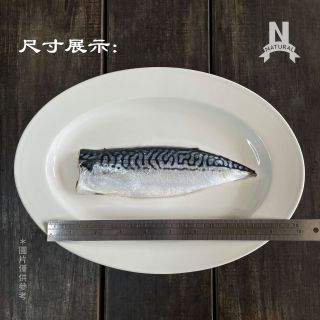 鯖魚片-04