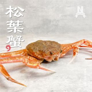 松葉蟹ys-01