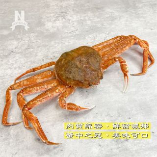 松葉蟹ys-02