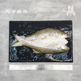 午仔魚-02