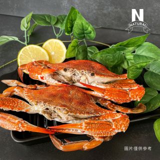 藍蟹-03