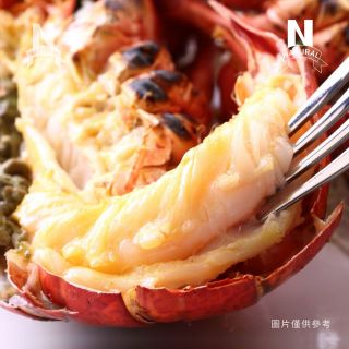 波士頓龍蝦-03