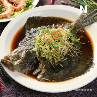多寶魚-02