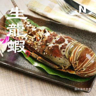 龍蝦-生-01