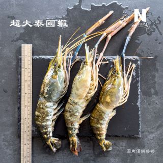 泰國蝦-04