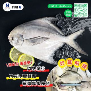 白鯧-02
