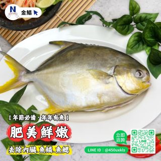 金鯧-03