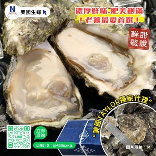 美國生蠔-04