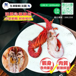 龍蝦-生-法國-05