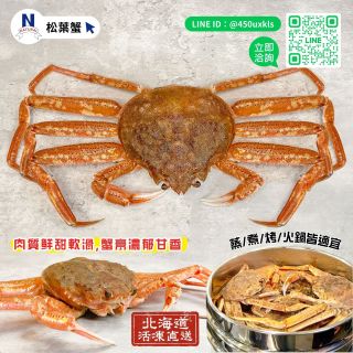 松葉蟹-02