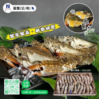 藍蟹-05
