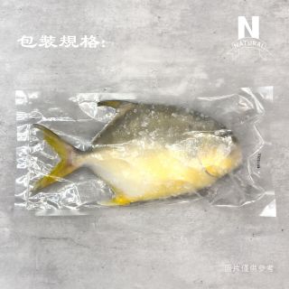 金鯧-02