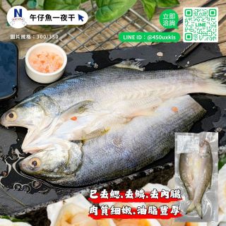 午仔魚-04