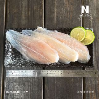 巴沙魚-02