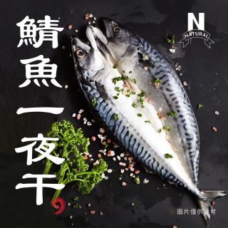 鯖魚一夜干-01